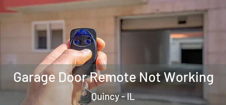  Garage Door Remote Not Working Quincy - IL
