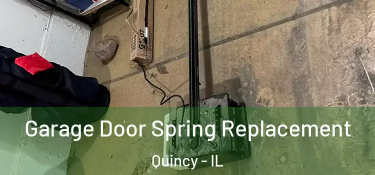  Garage Door Spring Replacement Quincy - IL