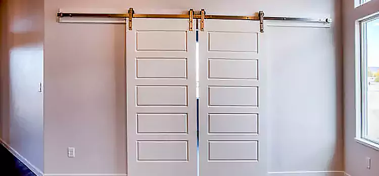 Glass Barn Door with Installation Hardware Kit Quincy