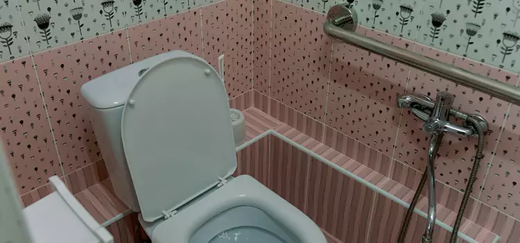 Meeting Diverse Needs With Accessible Restroom Solutions in Quincy, IL