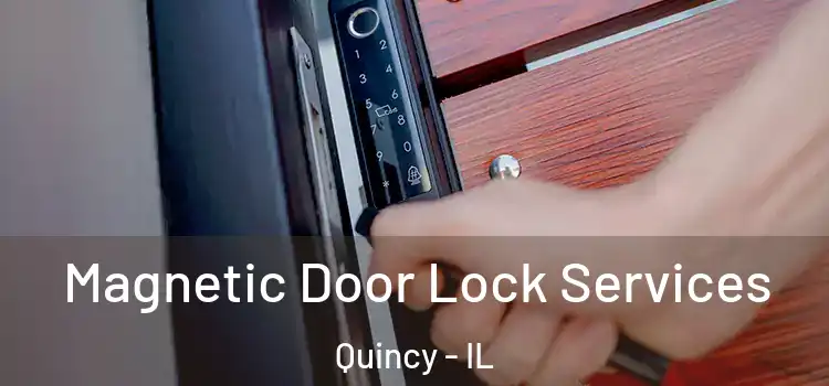 Magnetic Door Lock Services Quincy - IL