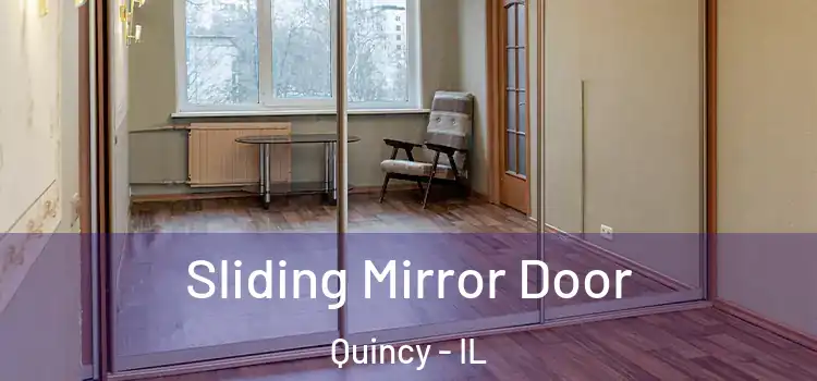  Sliding Mirror Door Quincy - IL