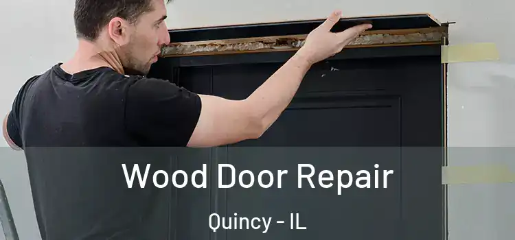 Wood Door Repair Quincy - IL